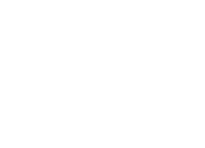Mr Green